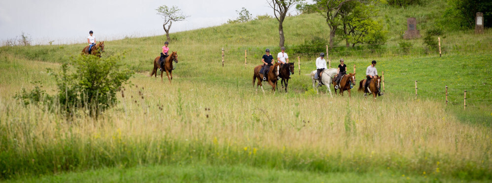 EquiTransylvania - Erdélyi lovastúrák és lovas vakációk felnőtt lovasok számára
