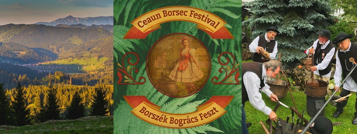 Cea1 Borsec Festival