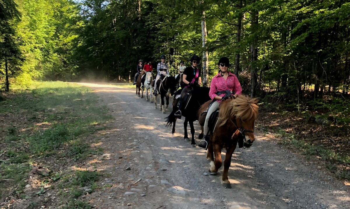 Horseriding weekend in the Harghita Mountains